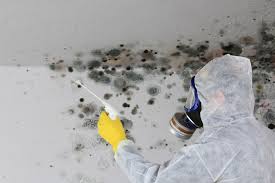 Best Emergency Mold Remediation in Carney, MD